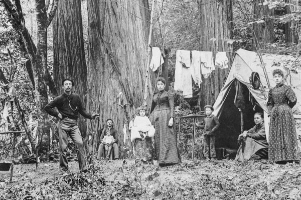 historical black and white image of a family camping in the redwoods