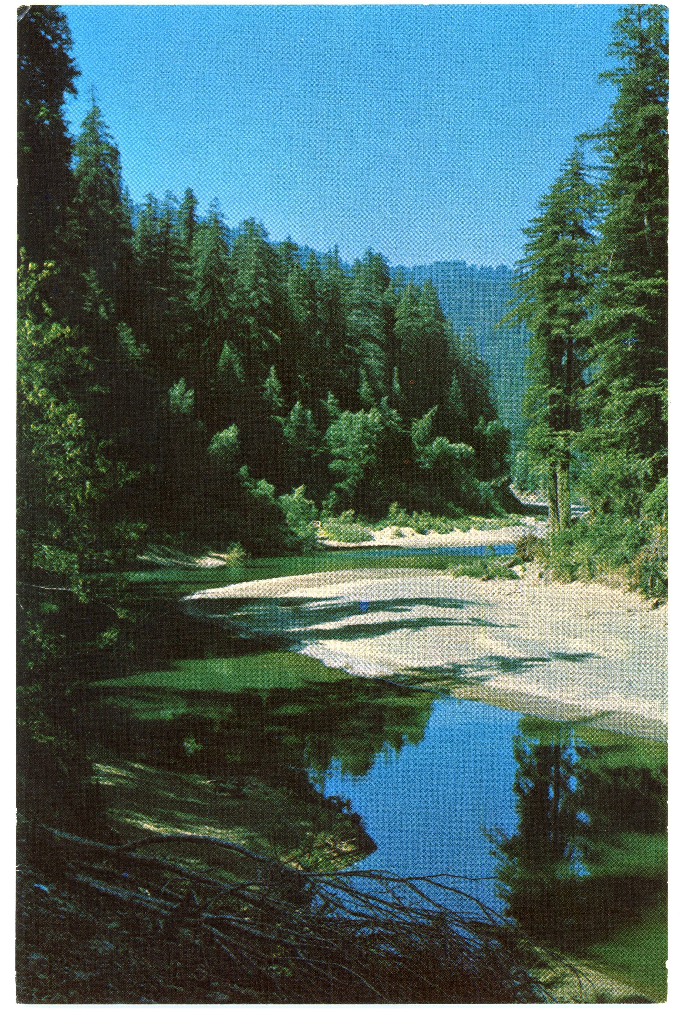 Color photo of river winding around curves through the redwood forest