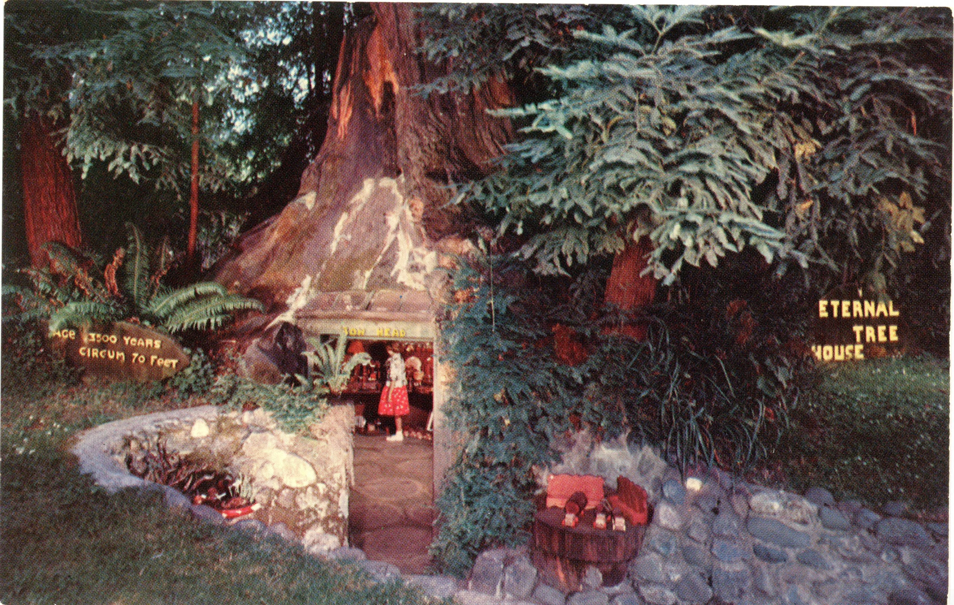Color photo of large stump with inside converted into a house with stones lining walkway up to tree