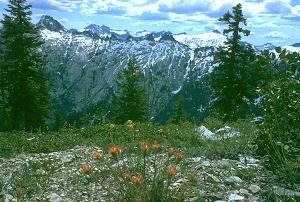 An image of the Trinity Alps