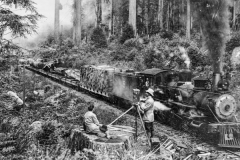 black and white image of a photographer taking a photo of a man on a redwood tree stump next to a train on the train tracks