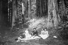 black and white photo of a family having a picnic by a large redwood tree